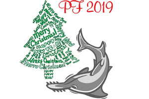 PF 2019